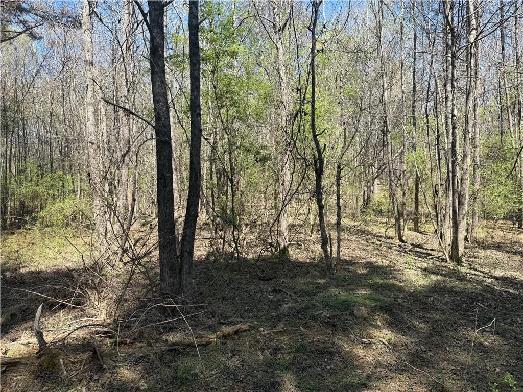 78 Mullinax Road Property Photo 3