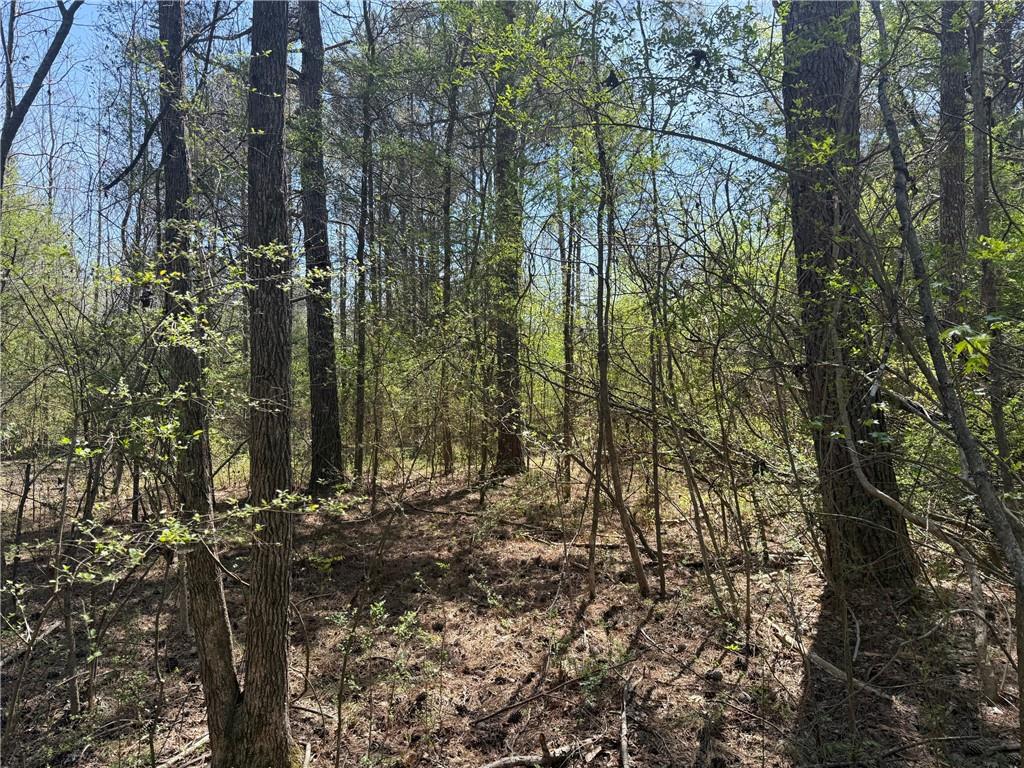 78 Mullinax Road Property Photo 4
