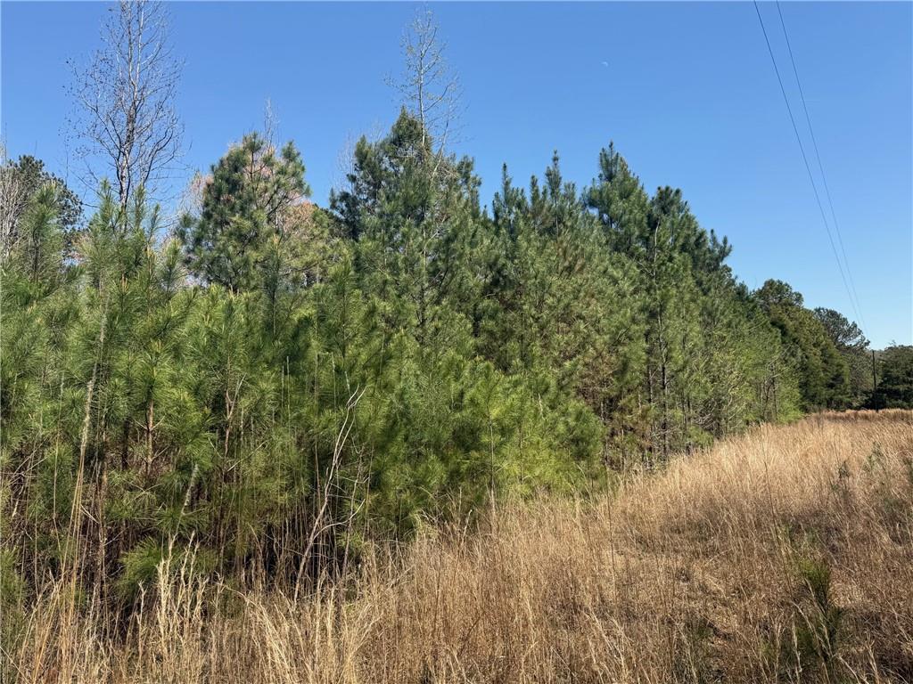 78 Mullinax Road Property Photo 5