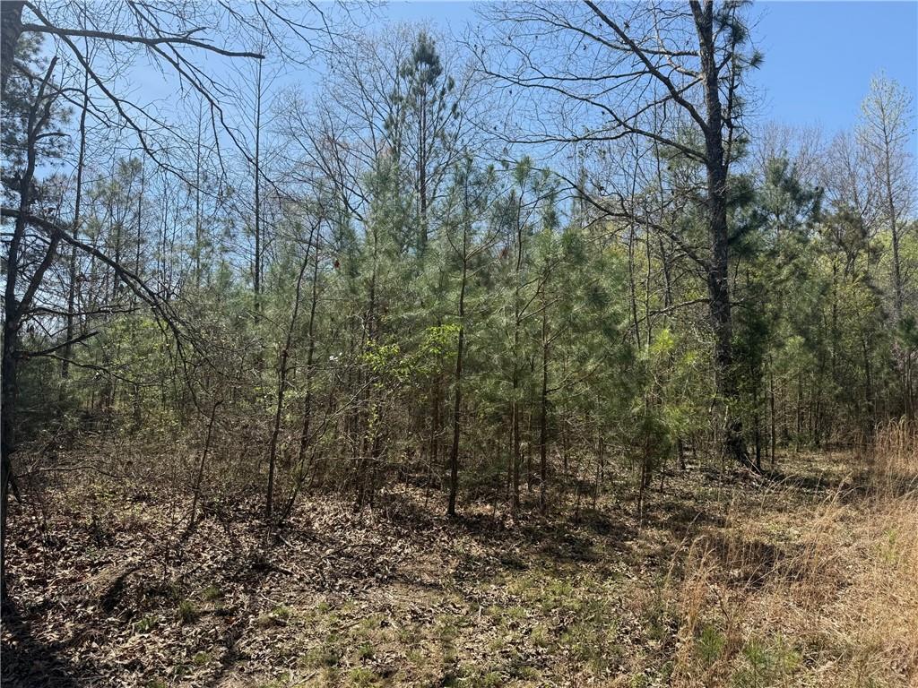 78 Mullinax Road Property Photo 6