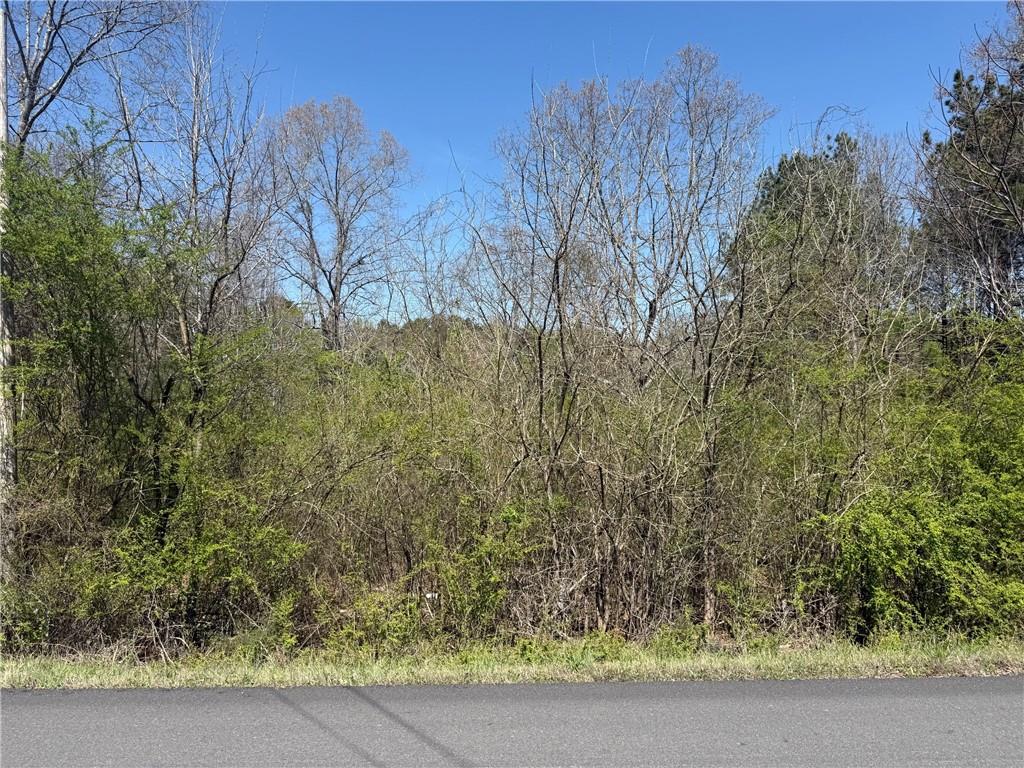 78 Mullinax Road Property Photo 8