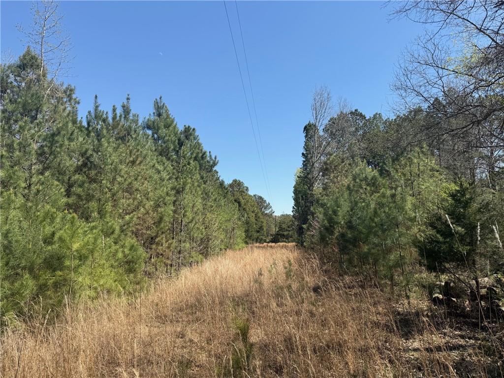 78 Mullinax Road Property Photo 9