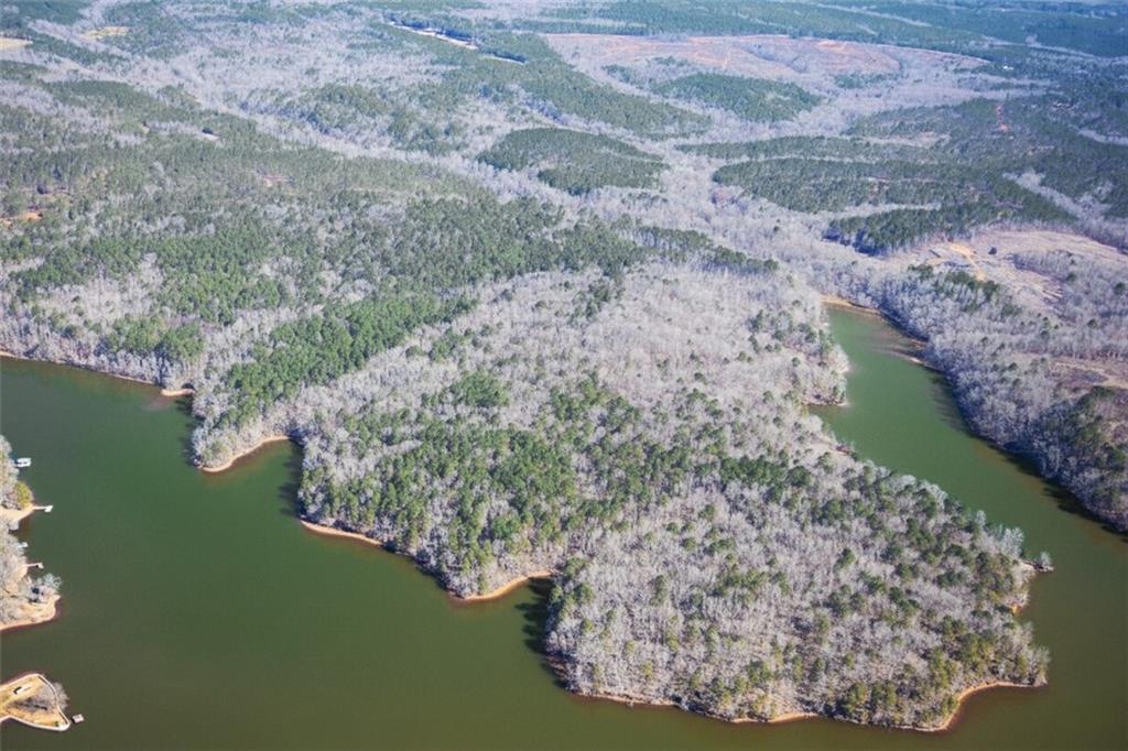 0 Al-49 Highway Property Photo 1