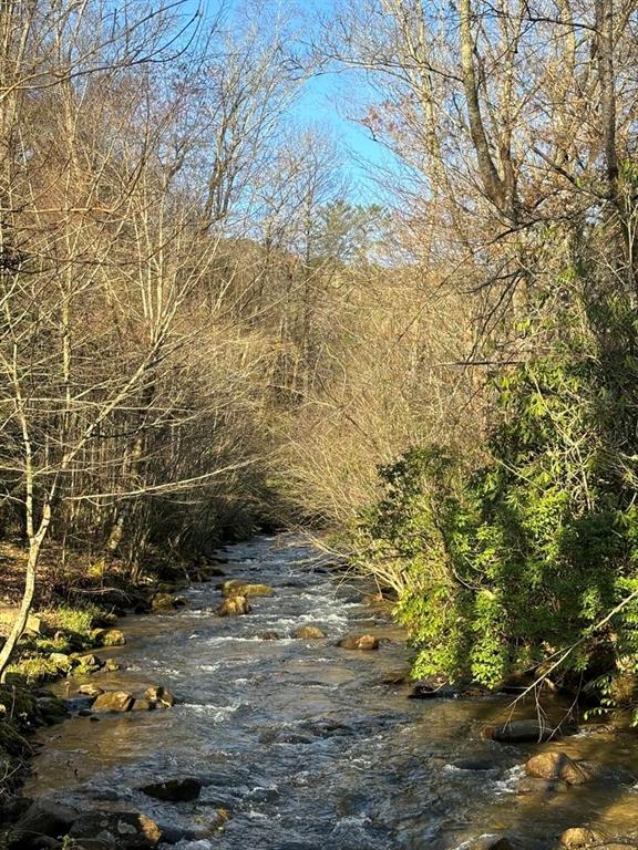 175 Waters Edge Lane Property Photo 19