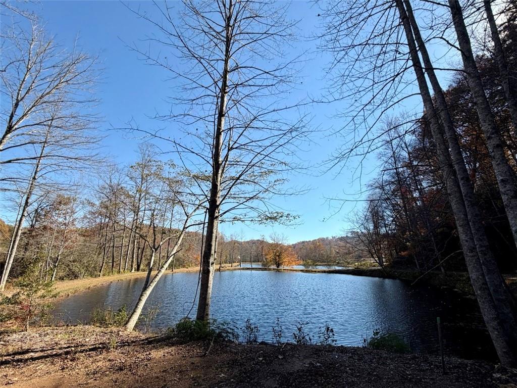 175 Waters Edge Lane Property Photo 20