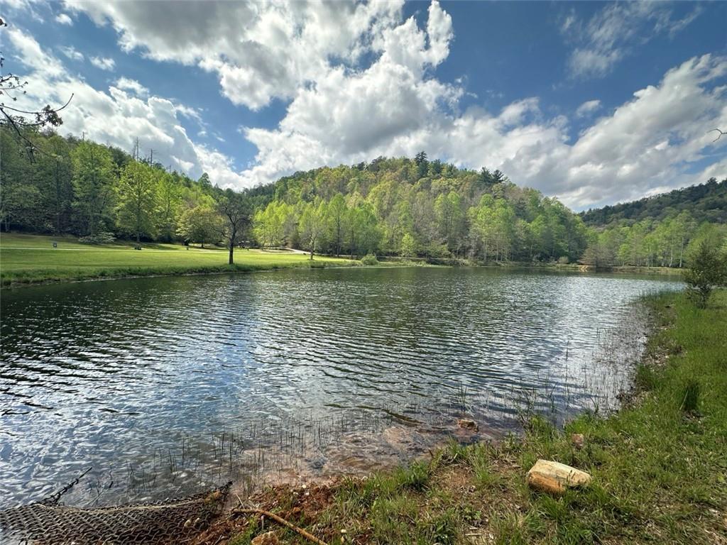 175 Waters Edge Lane Property Photo 24