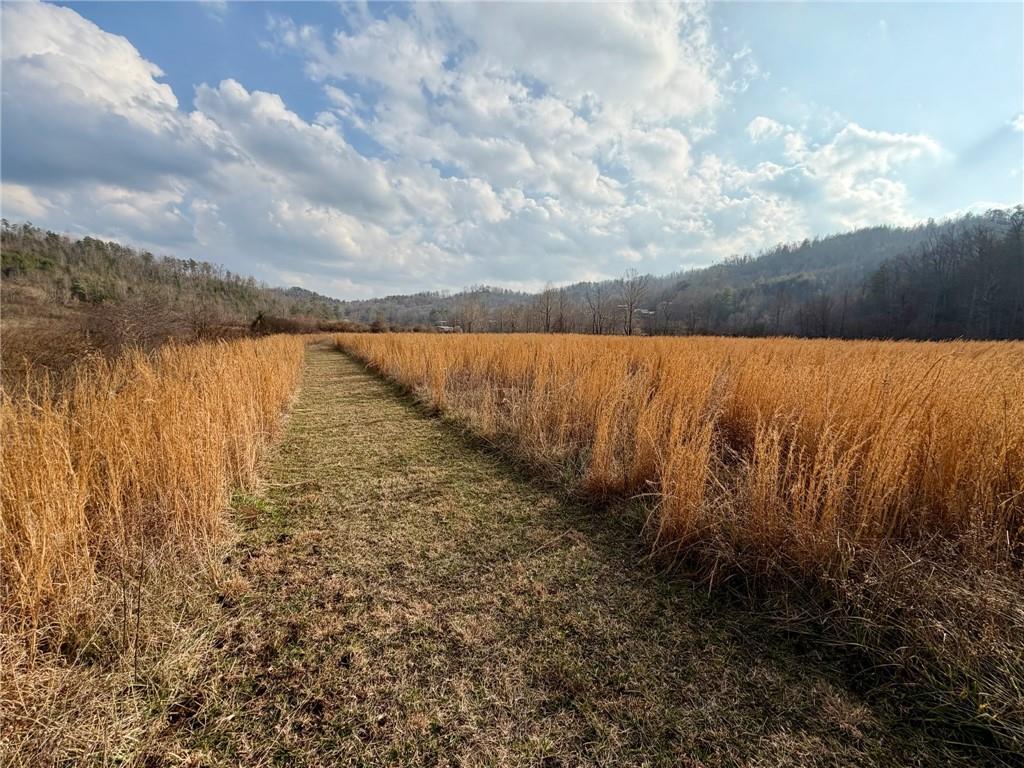 155 Waters Edge Lane Property Photo 9