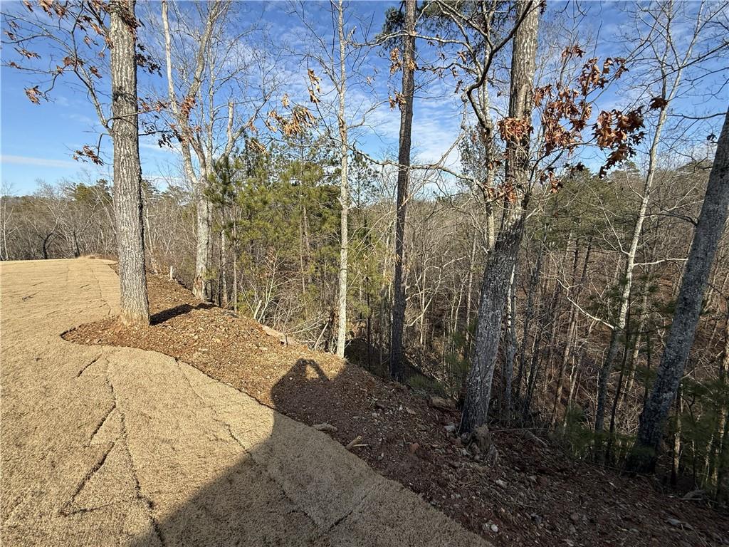 25 Greencliff Way Se Property Photo 9