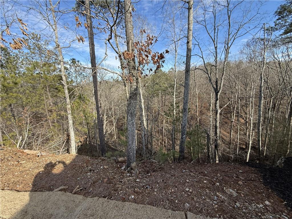 25 Greencliff Way Se Property Photo 10