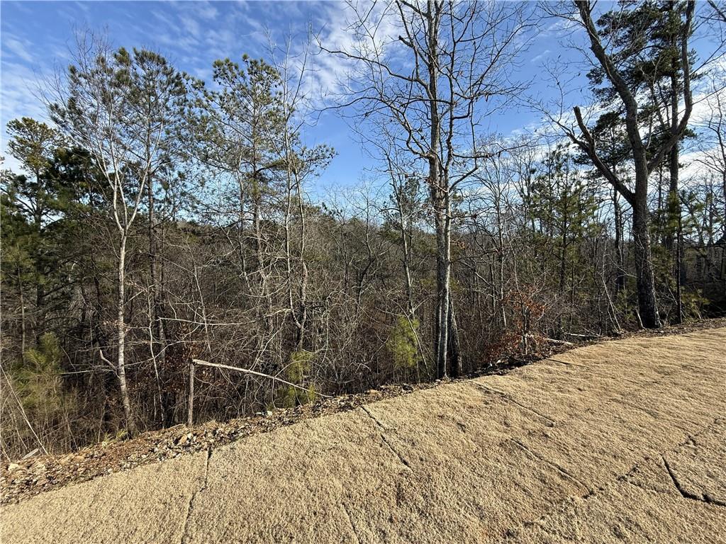 25 Greencliff Way Se Property Photo 13