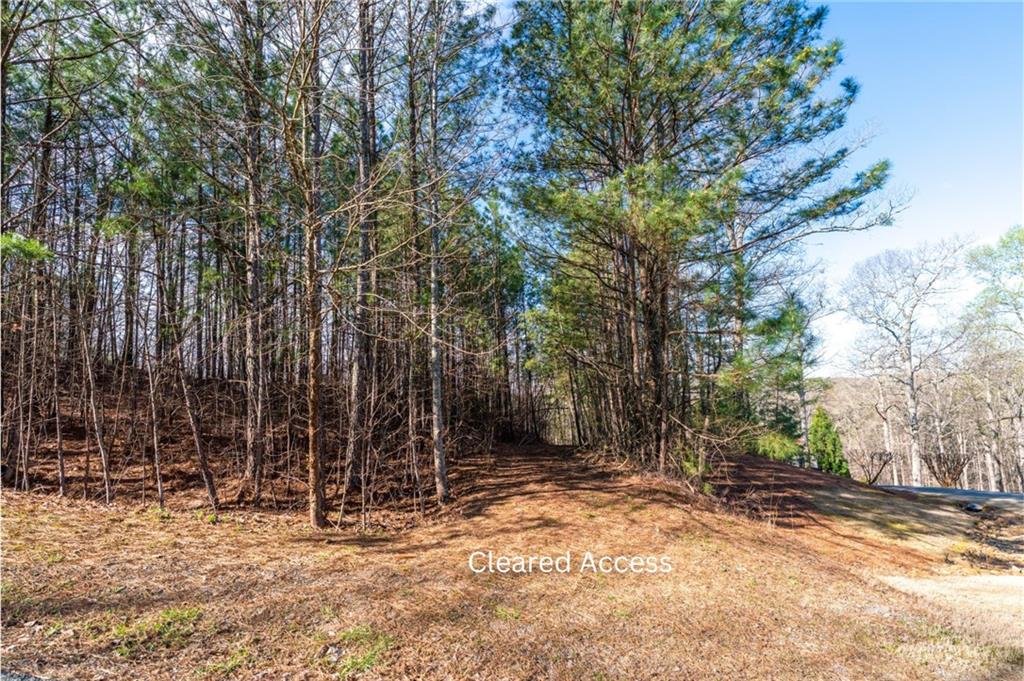 14 Hawks Branch Lane Property Photo 5
