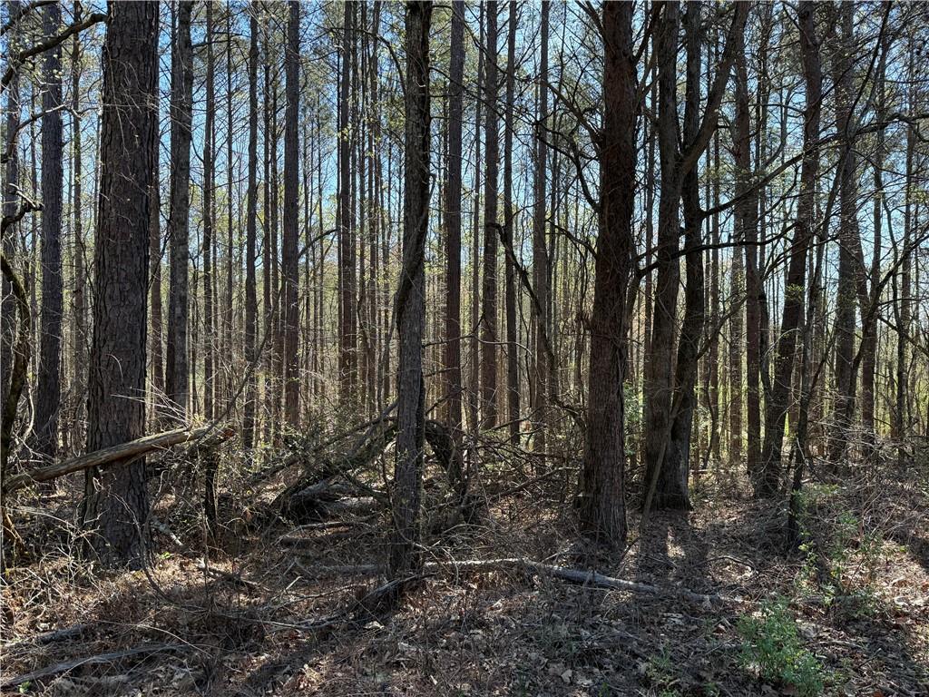 00 Henderson Mountain Road Property Photo 2