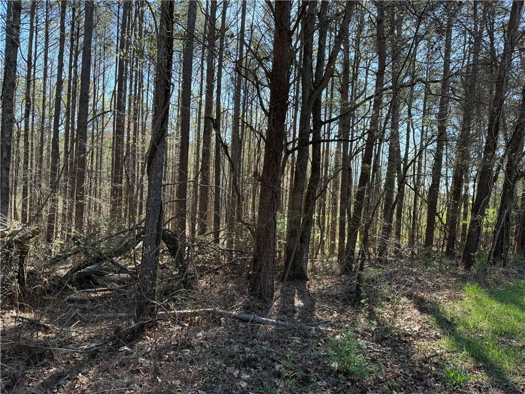 00 Henderson Mountain Road Property Photo 3