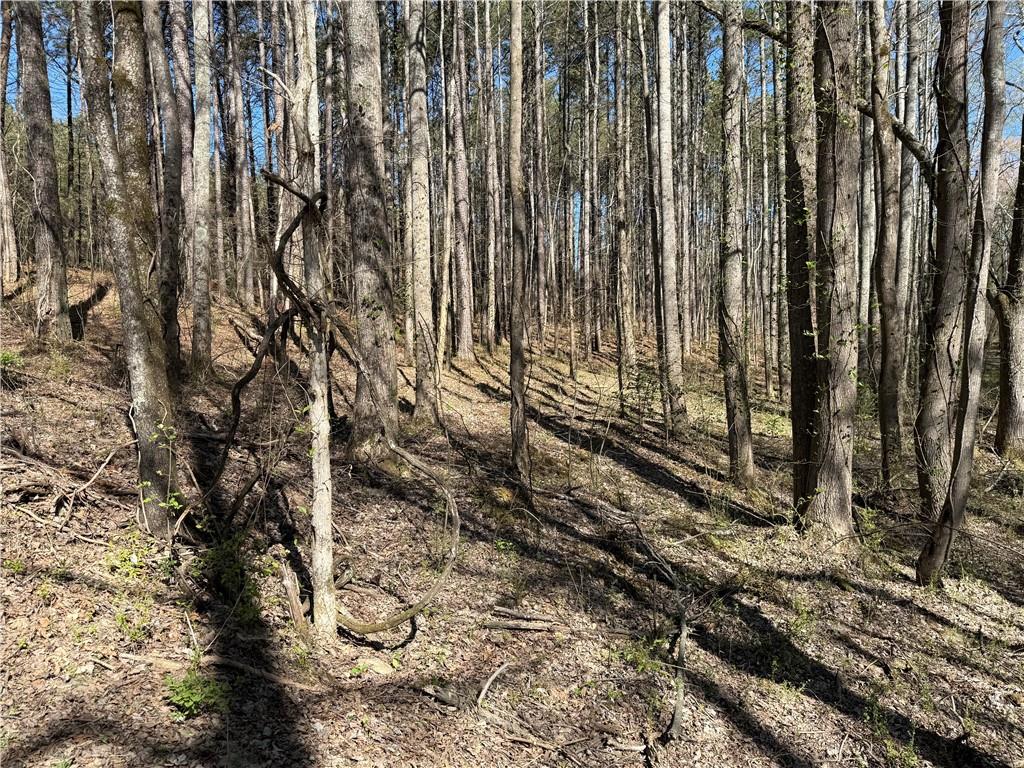 00 Henderson Mountain Road Property Photo 5