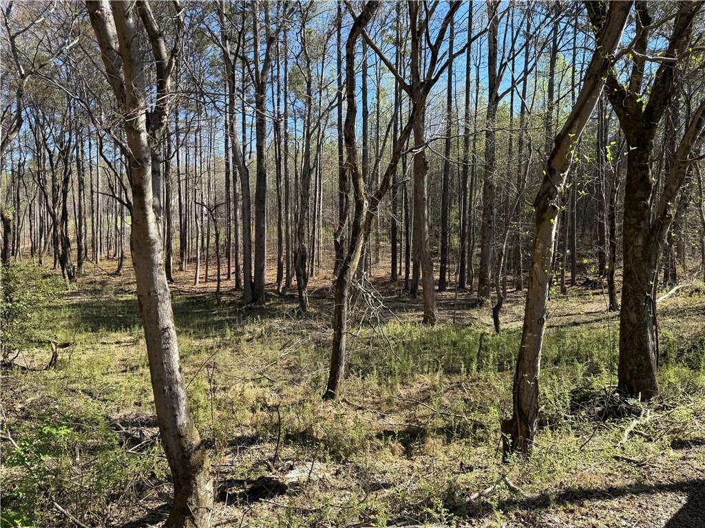 00 Henderson Mountain Road Property Photo 6