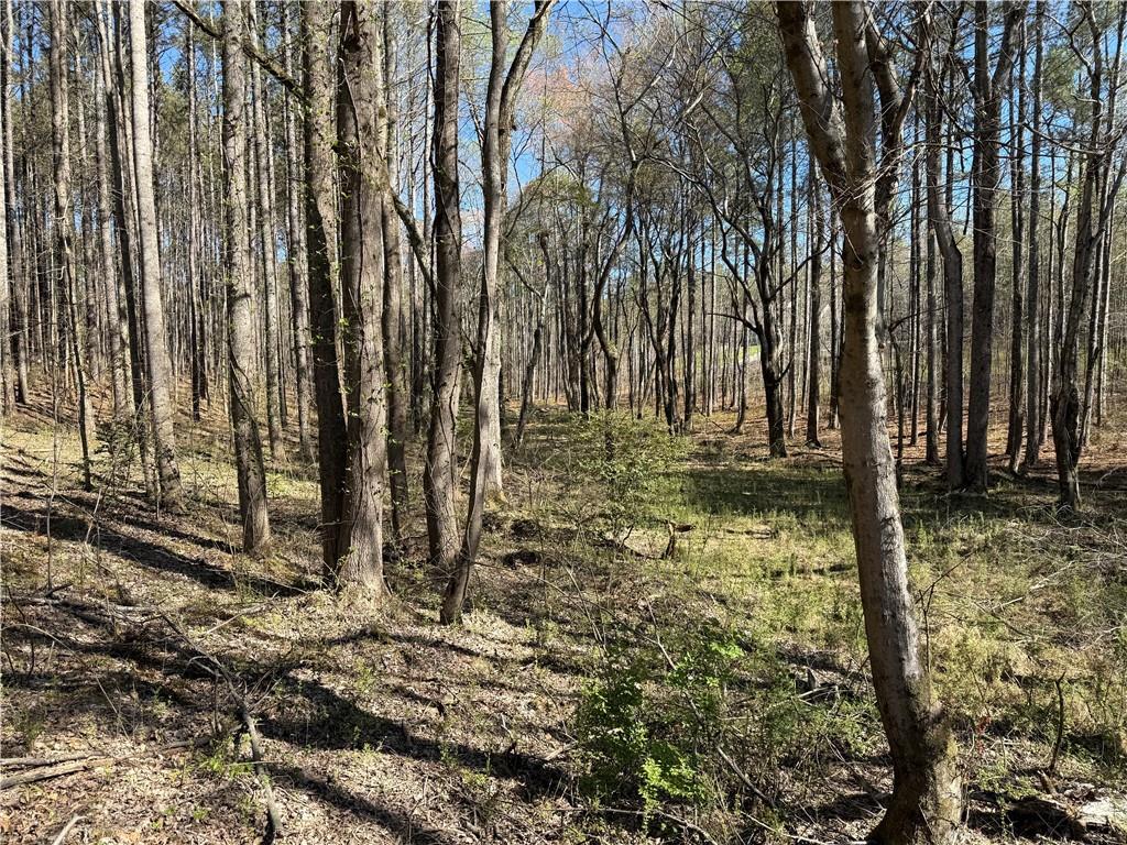 00 Henderson Mountain Road Property Photo 7