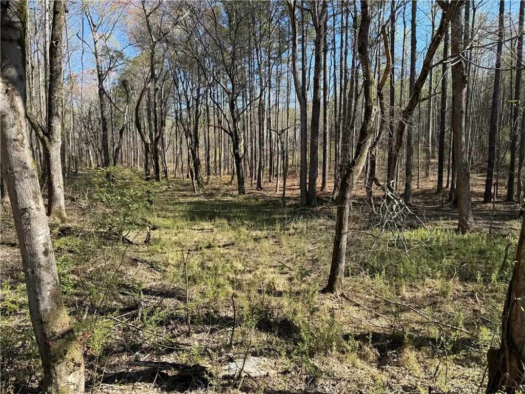 00 Henderson Mountain Road Property Photo 8