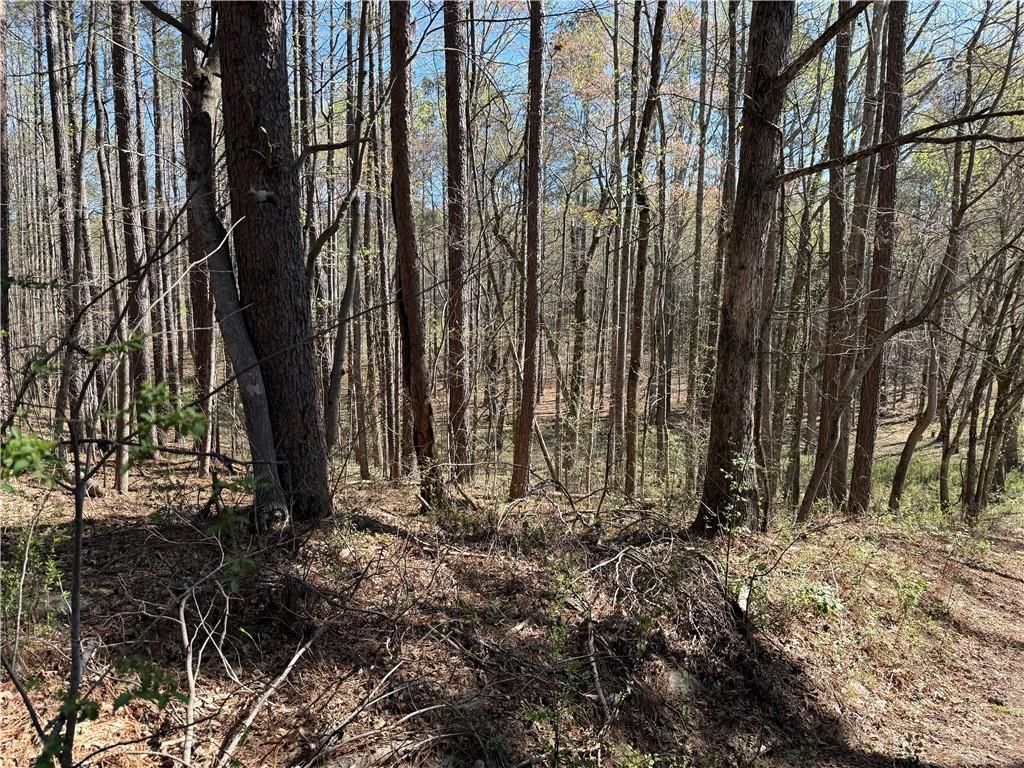00 Henderson Mountain Road Property Photo 9