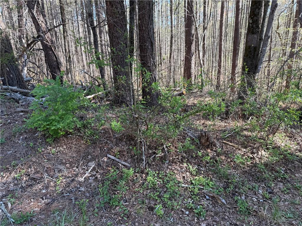 00 Henderson Mountain Road Property Photo 11