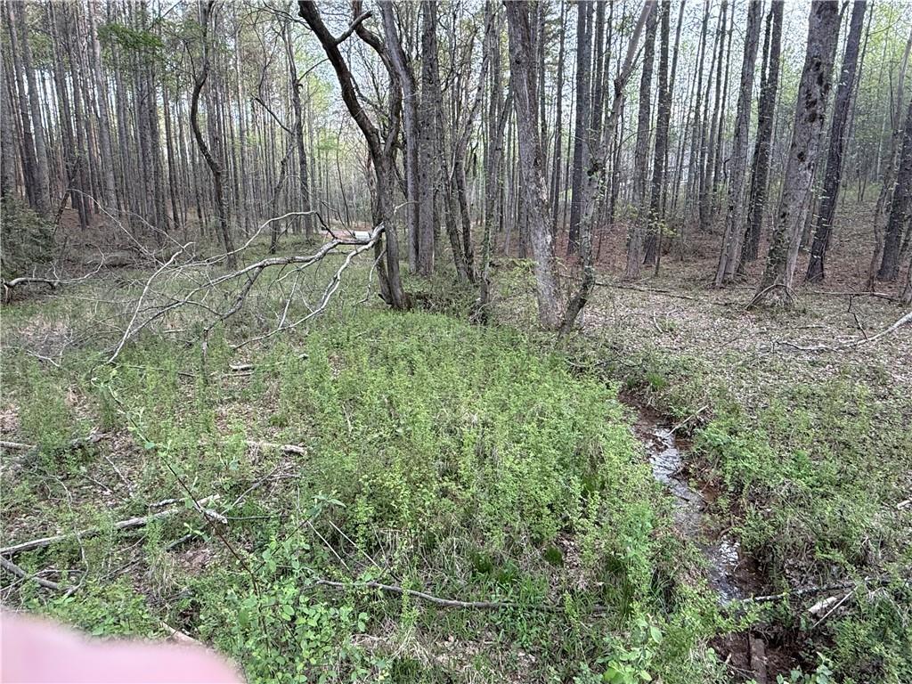 00 Henderson Mountain Road Property Photo 12