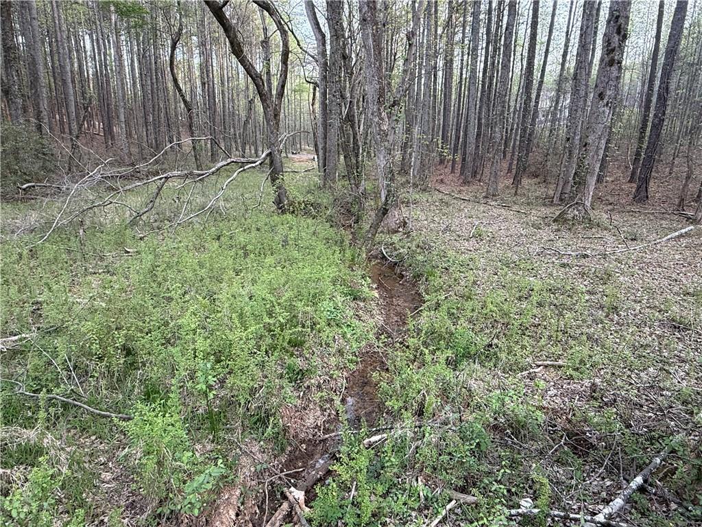 00 Henderson Mountain Road Property Photo 13