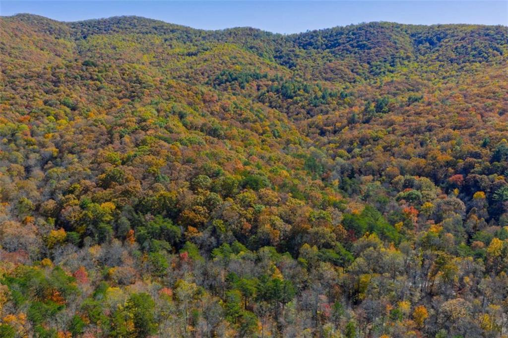 N/a Willard Mountain Road Property Photo 3