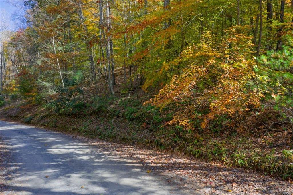 N/a Willard Mountain Road Property Photo 5