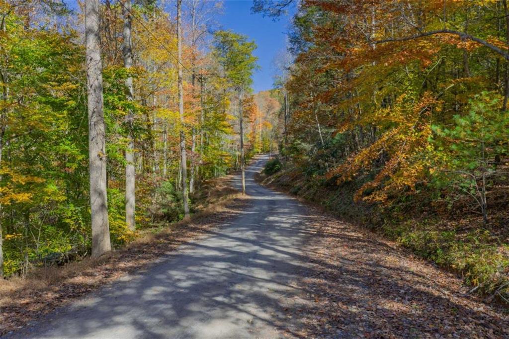 N/a Willard Mountain Road Property Photo 6