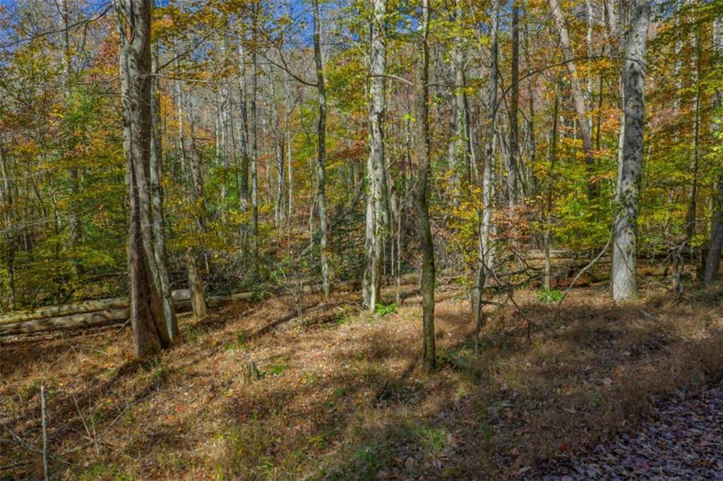 N/a Willard Mountain Road Property Photo 7