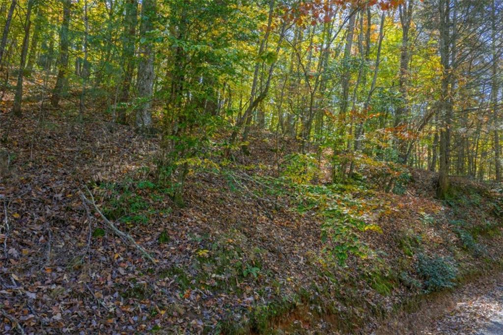 N/a Willard Mountain Road Property Photo 8