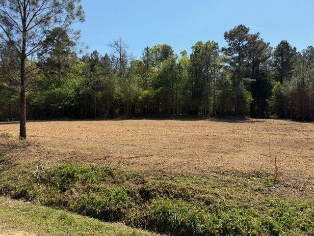 84 Popham Road Tract 2 Property Photo 1