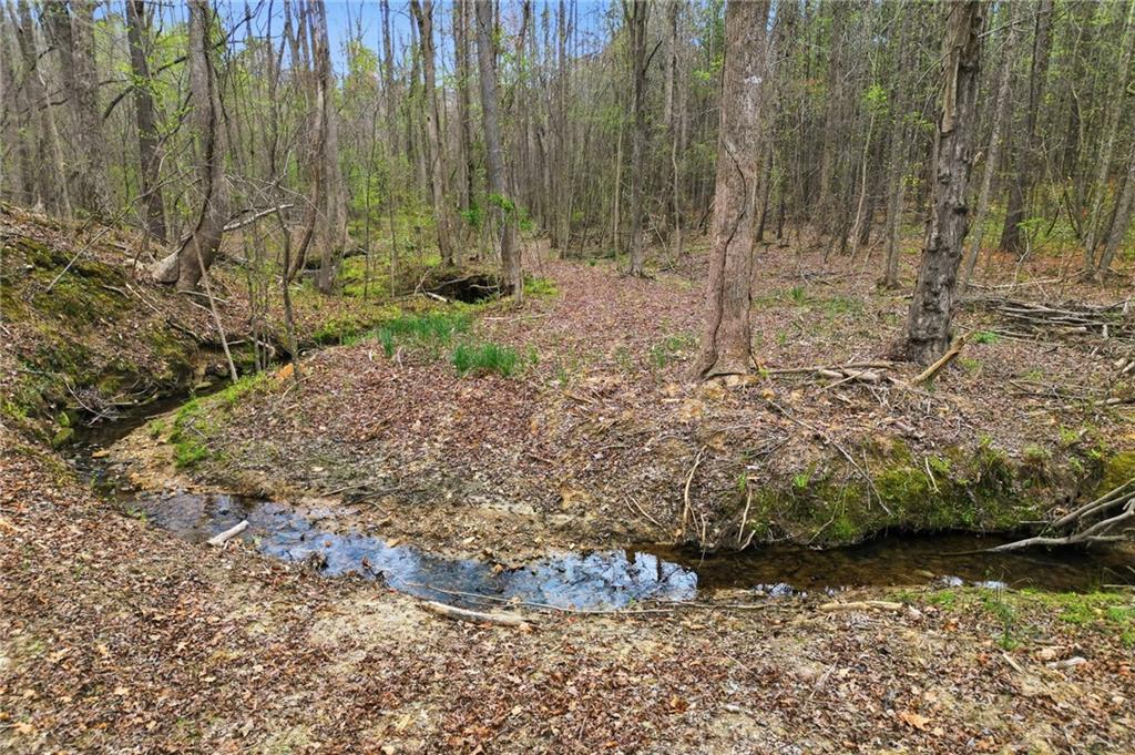 0 Carlan Road Property Photo 14