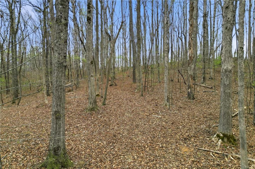 0 Carlan Road Property Photo 17
