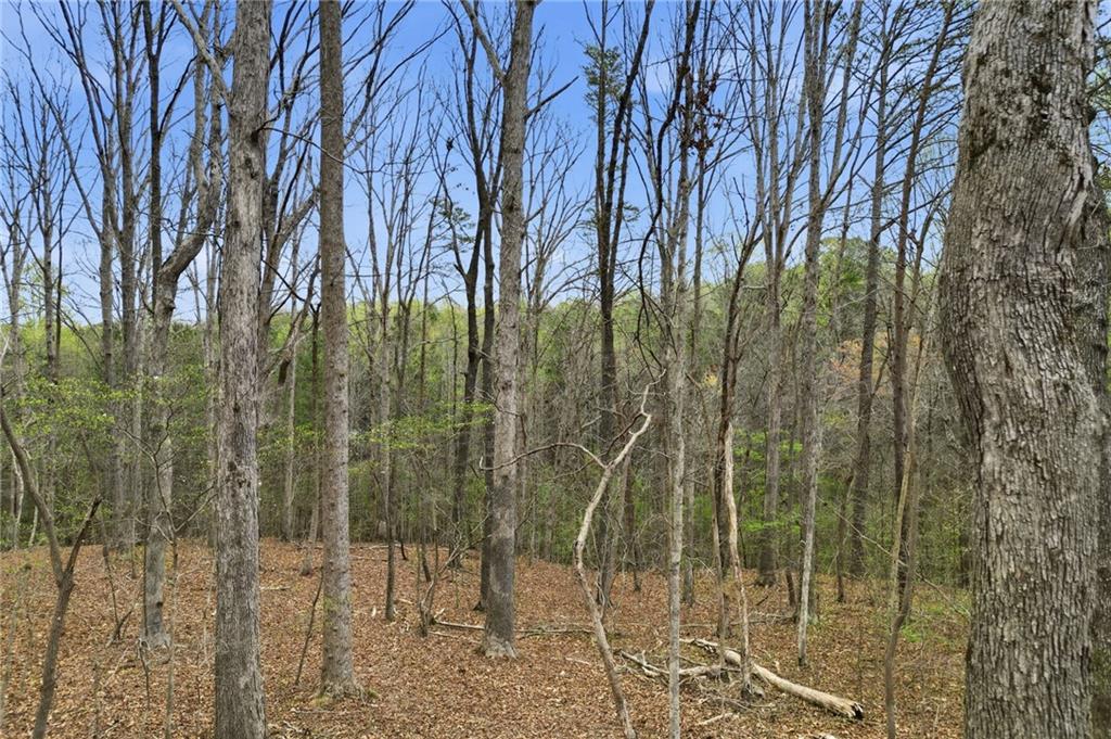 0 Carlan Road Property Photo 18