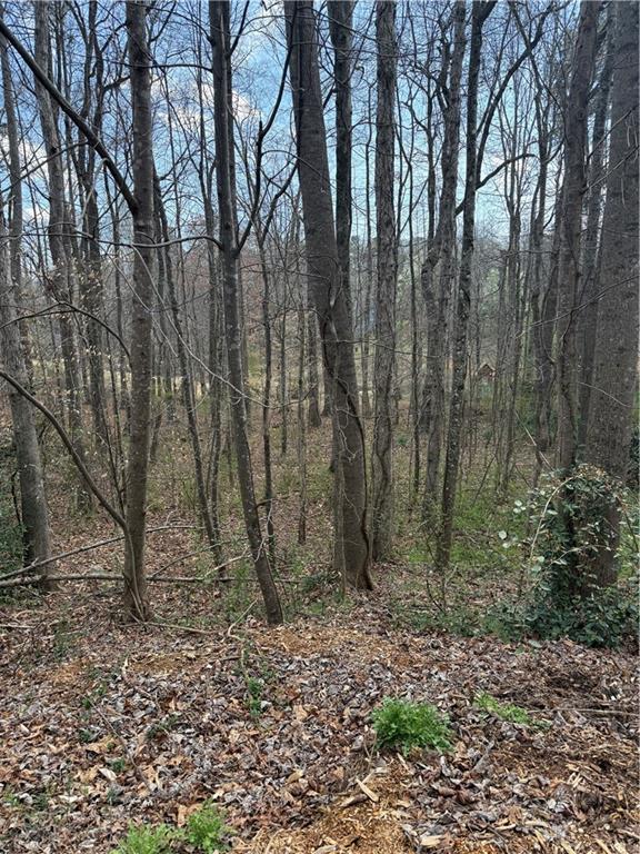 0 Willow Gate Trace Property Photo 4