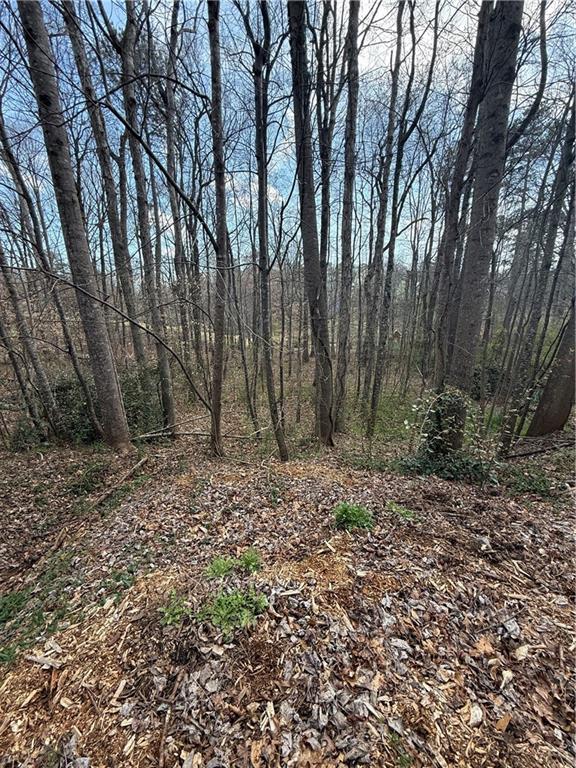0 Willow Gate Trace Property Photo 5