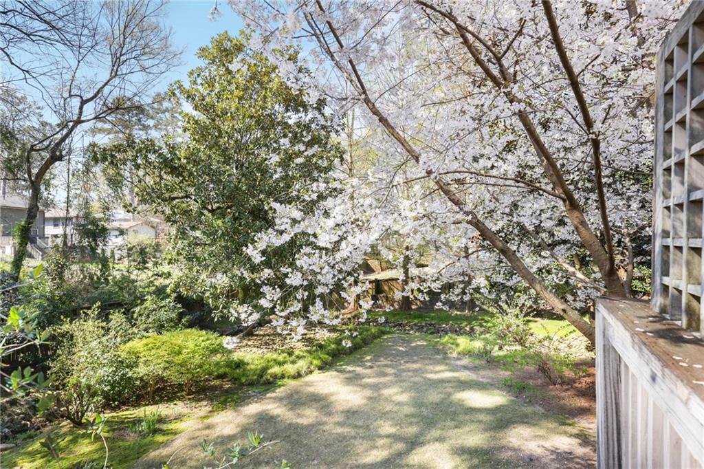 787 Piedmont Way Ne Property Photo 22