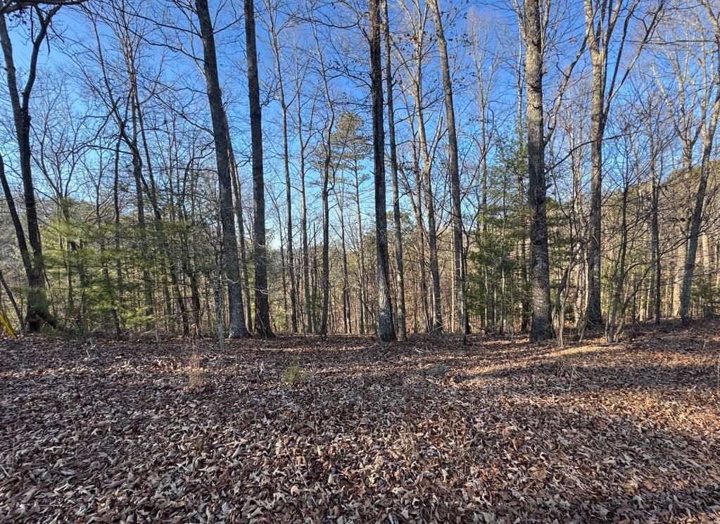 0 Rebekah Ridge Property Photo 1