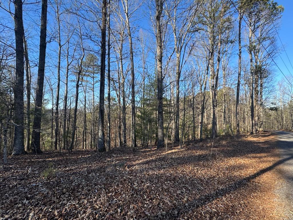0 Rebekah Ridge Property Photo 2
