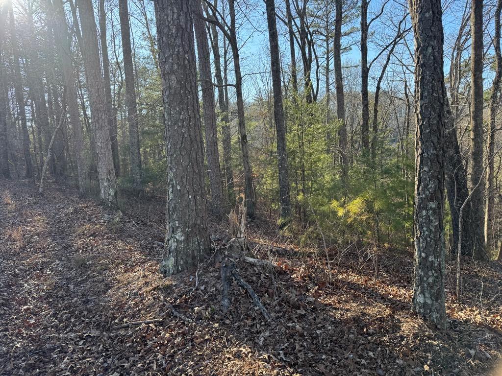 0 Rebekah Ridge Property Photo 3