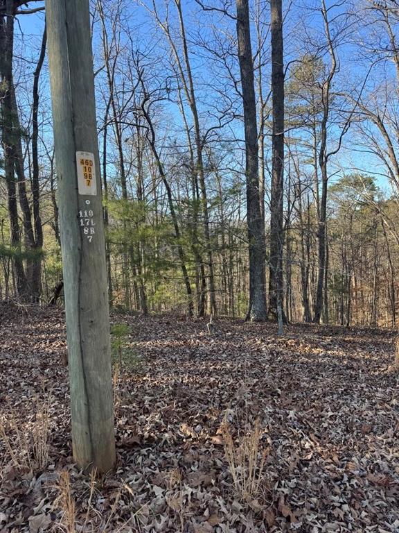 0 Rebekah Ridge Property Photo 5