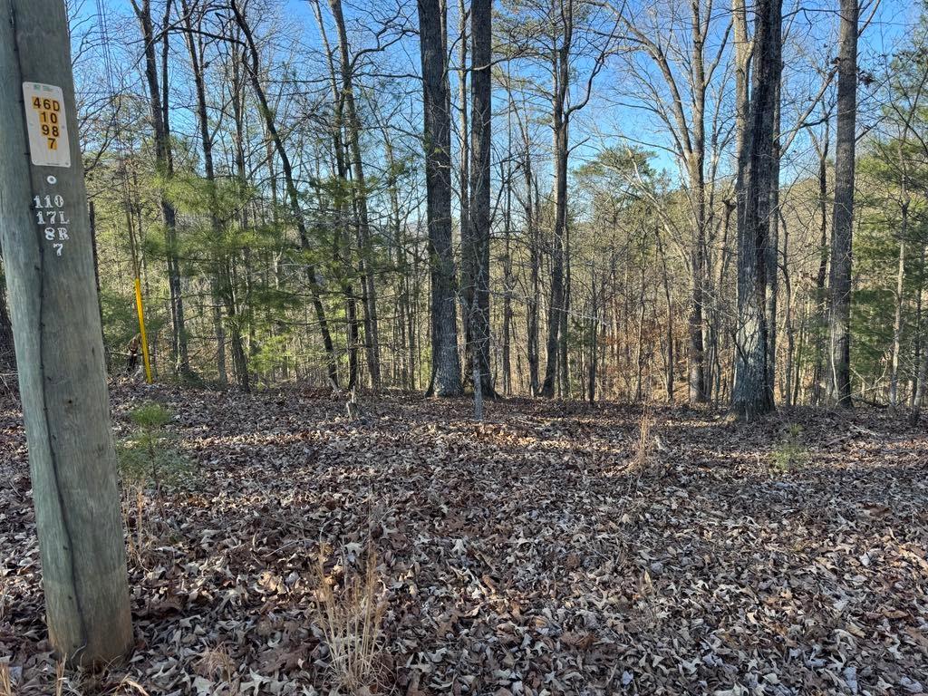 0 Rebekah Ridge Property Photo 6