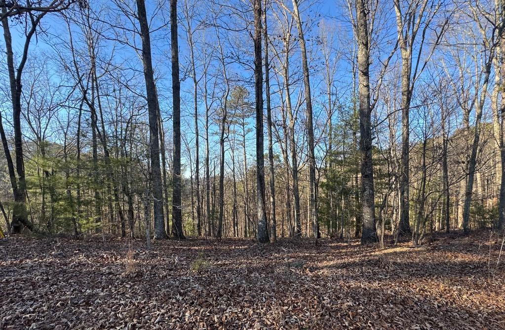 0 Rebekah Ridge Property Photo 7