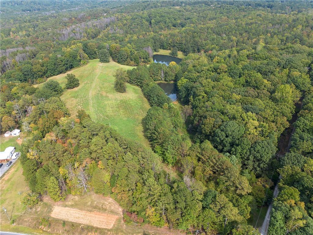 75 Star Wars Path Property Photo 10