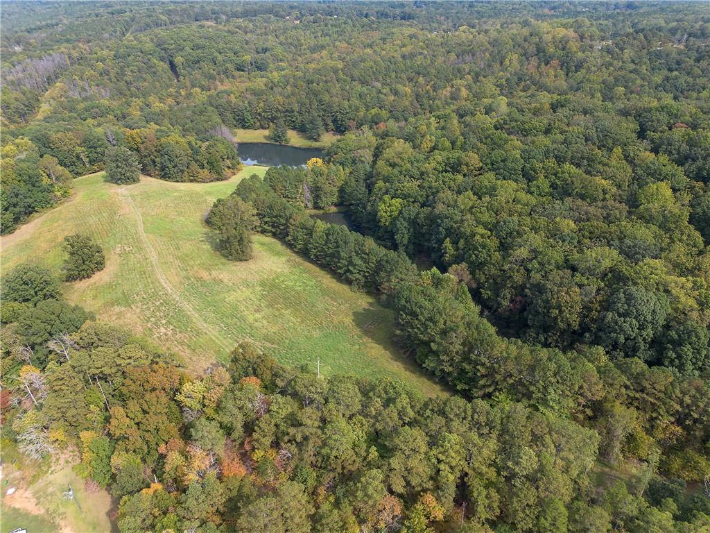 75 Star Wars Path Property Photo 11