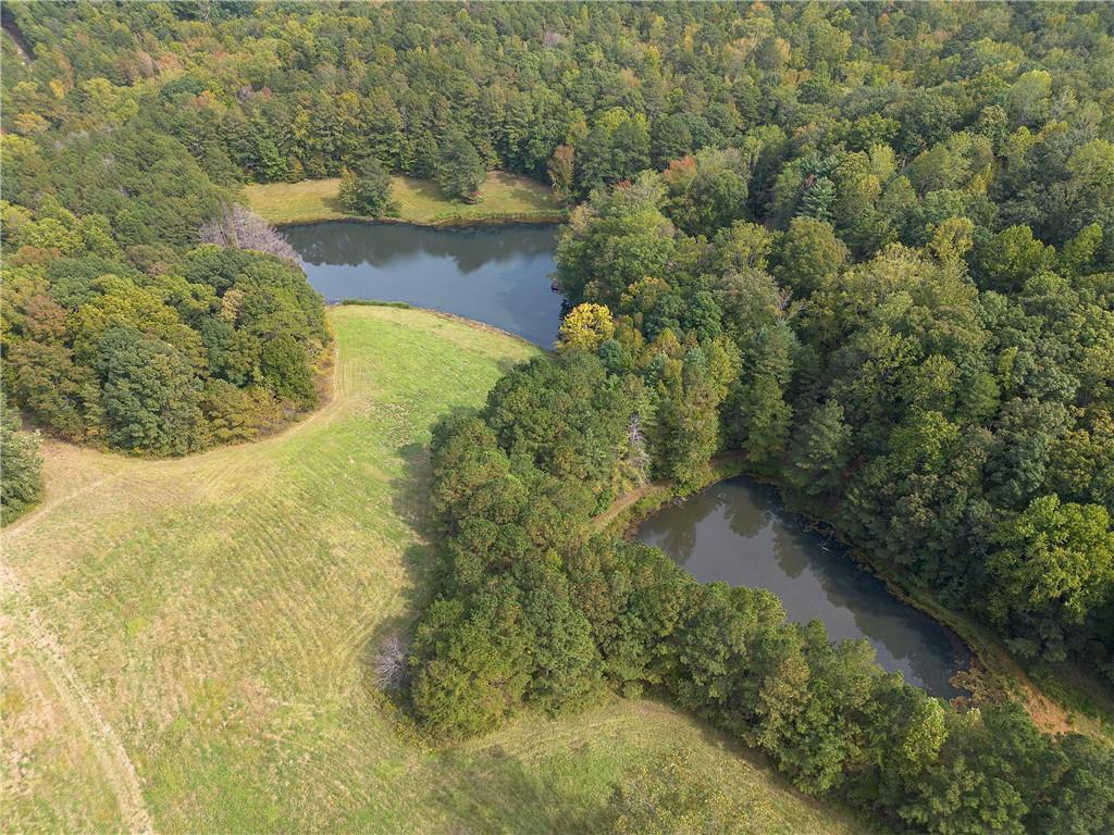 75 Star Wars Path Property Photo 12