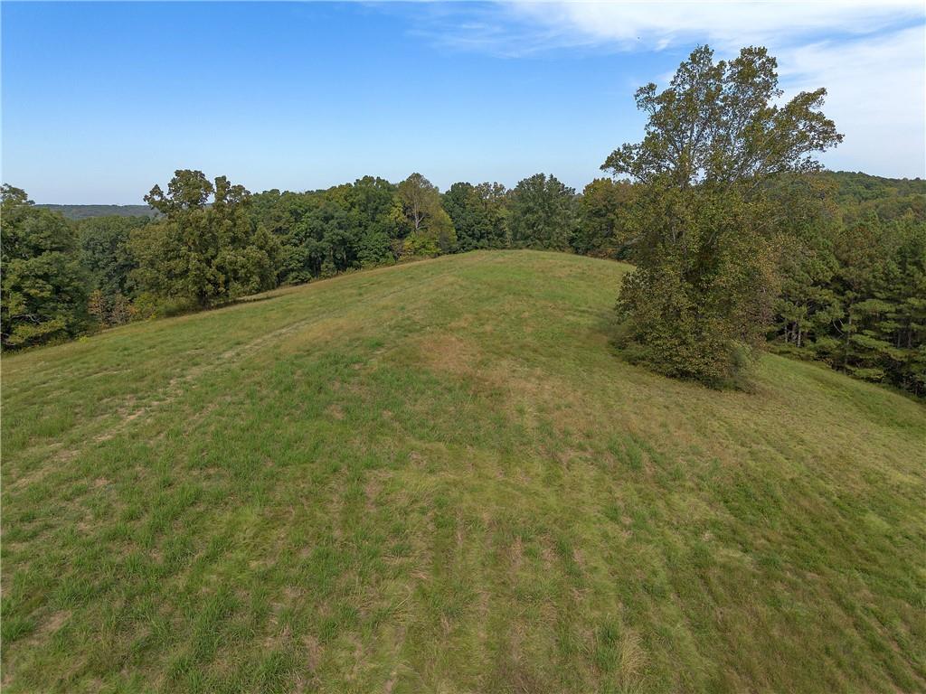 75 Star Wars Path Property Photo 13
