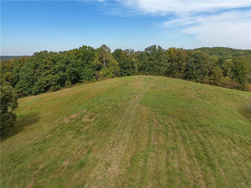 75 Star Wars Path Property Photo 14