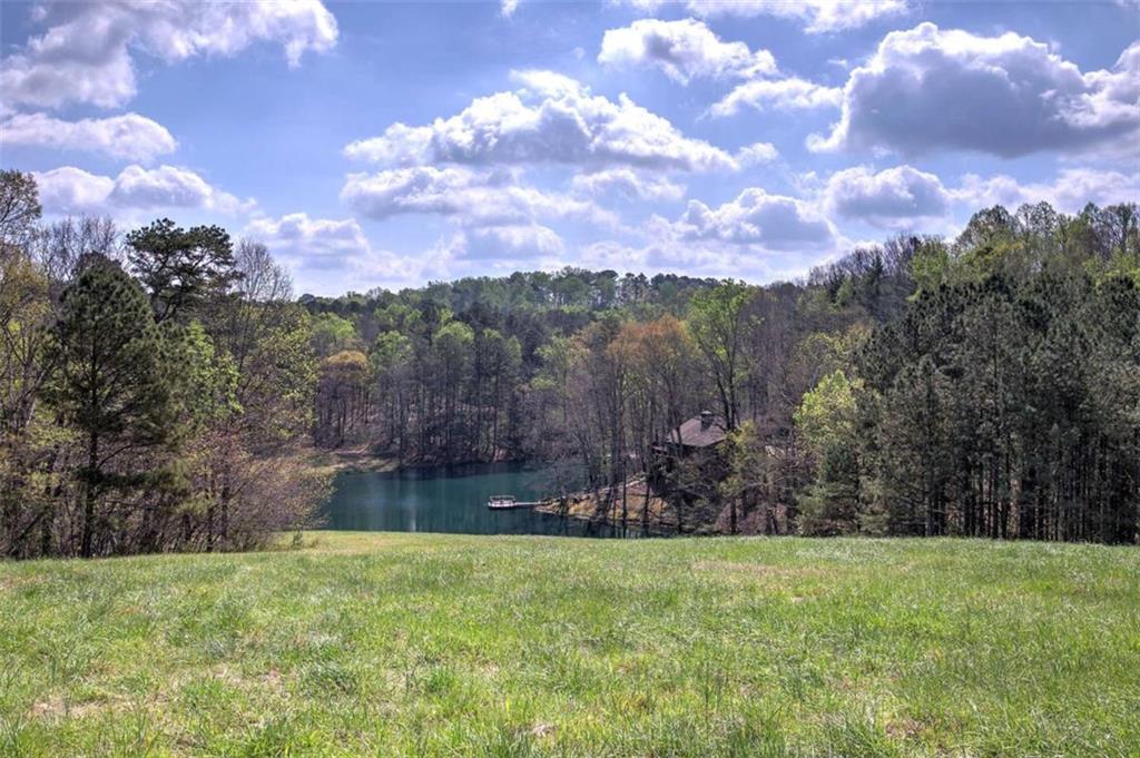75 Star Wars Path Property Photo 16