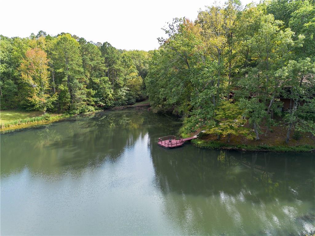 75 Star Wars Path Property Photo 18